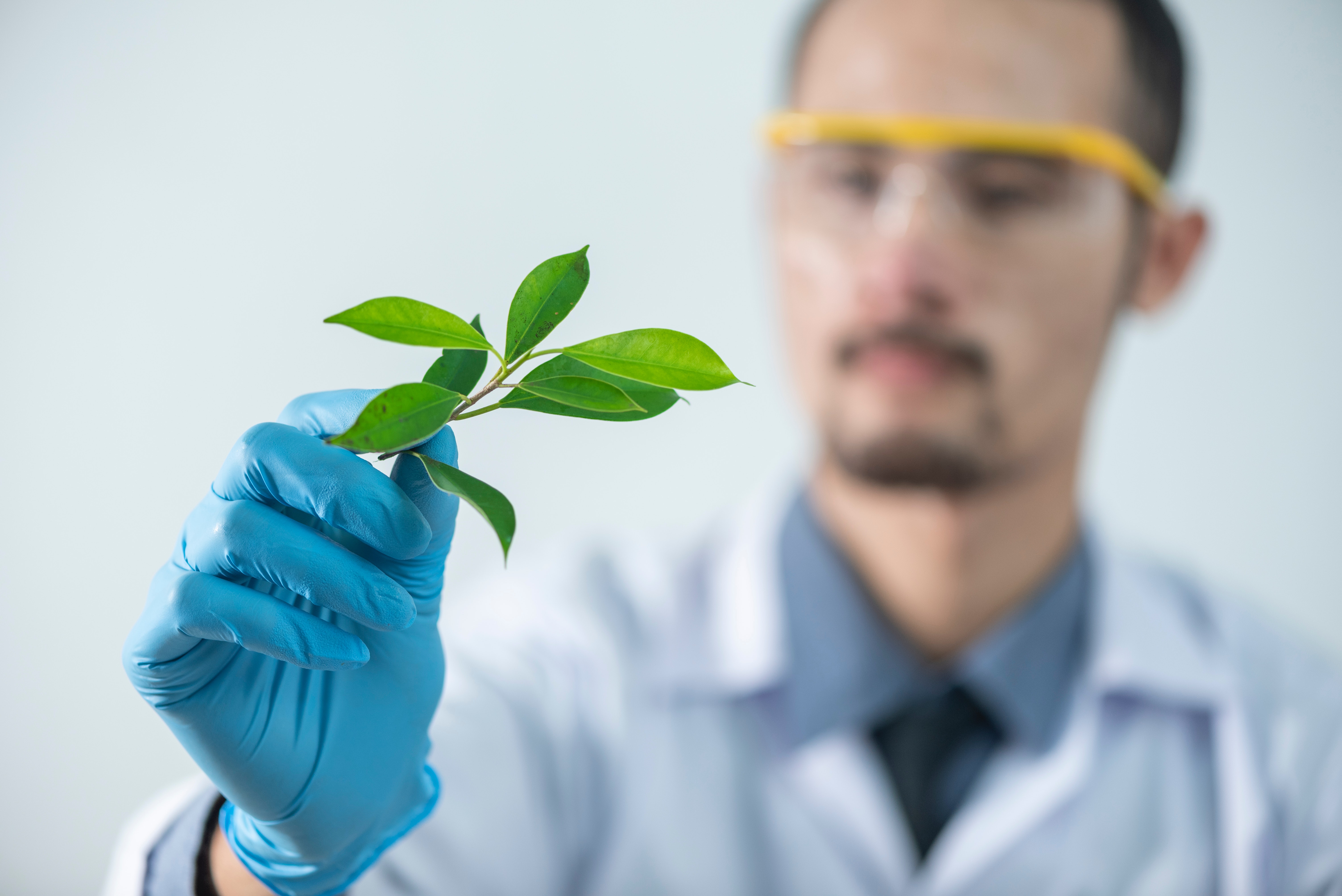 scientist and a plant